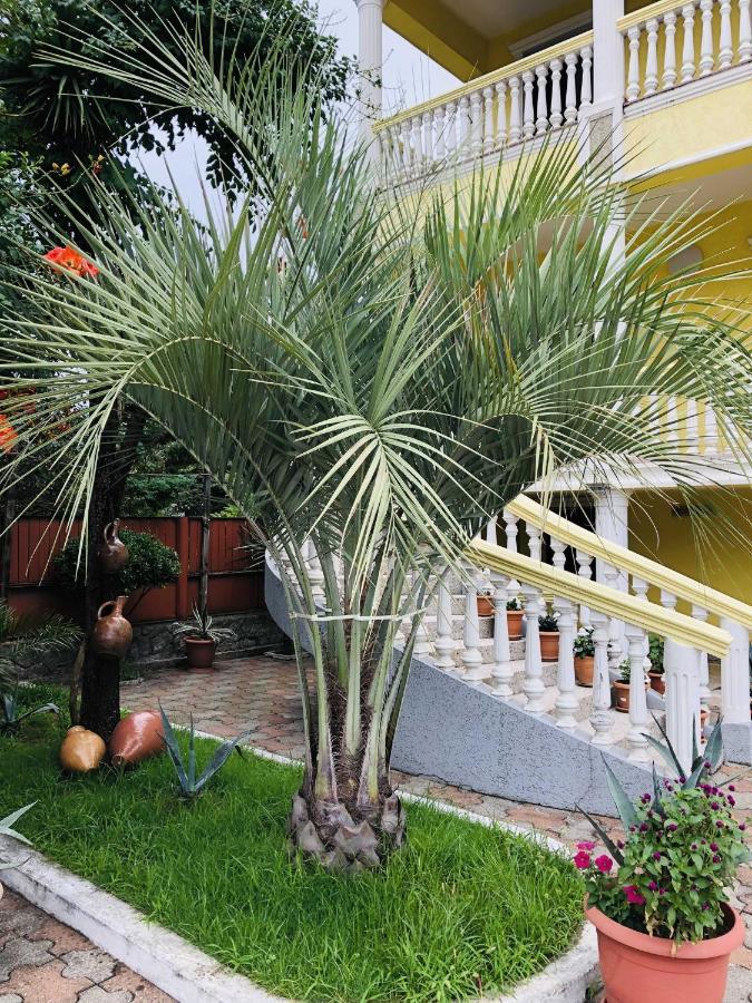 Hotel George'S House Kobuleti Exterior foto